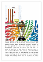 Page 17: Physical Education Project on Cricket