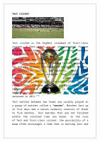Page 29: Physical Education Project on Cricket