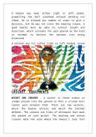Page 8: Physical Education Project on Cricket